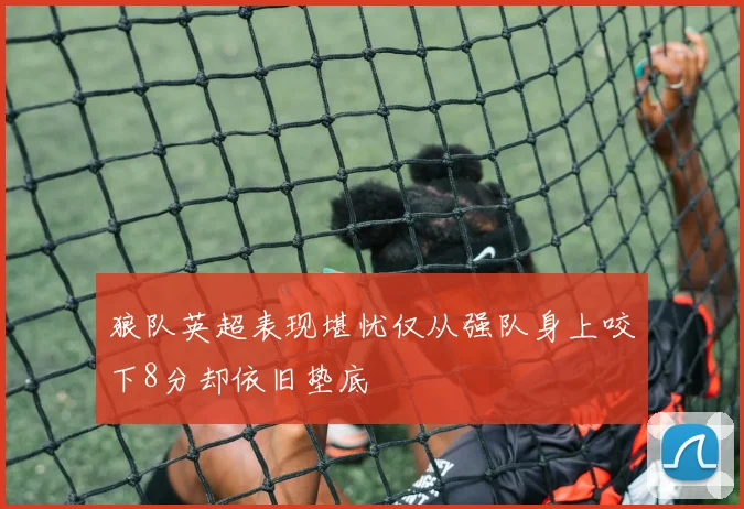 狼队英超表现堪忧仅从强队身上咬下8分却依旧垫底