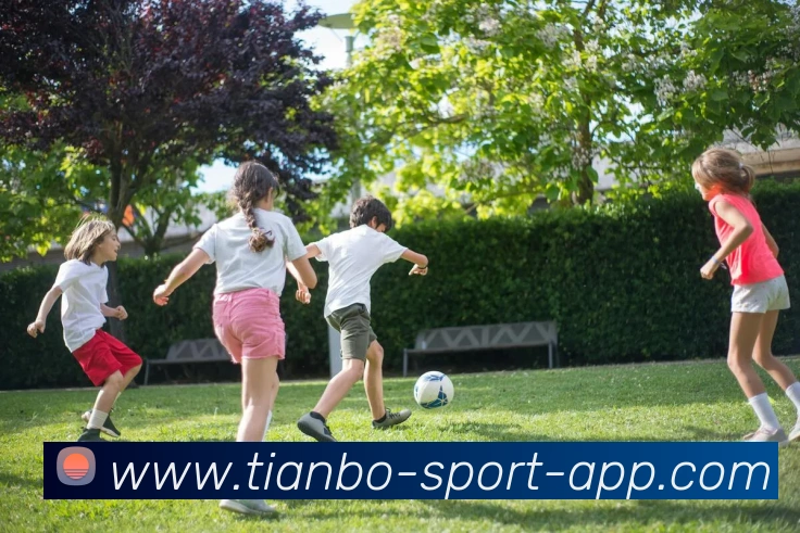 App Interface Preview