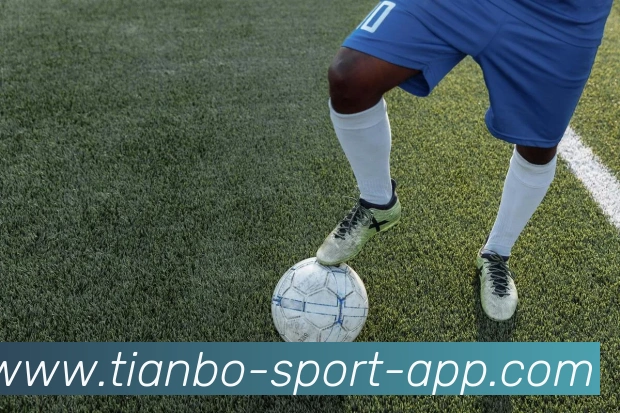 天博体育APP 封面图